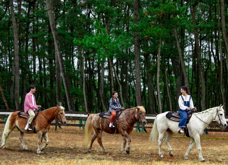 松林の馬場で乗馬を楽しむ家族